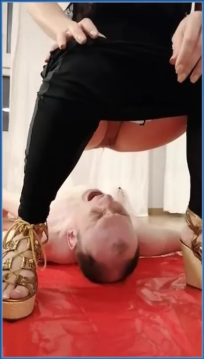 Download Mistress Jardena - Bitch Toilet Bowl, Pissing, Femdom Hightide-Scat.com