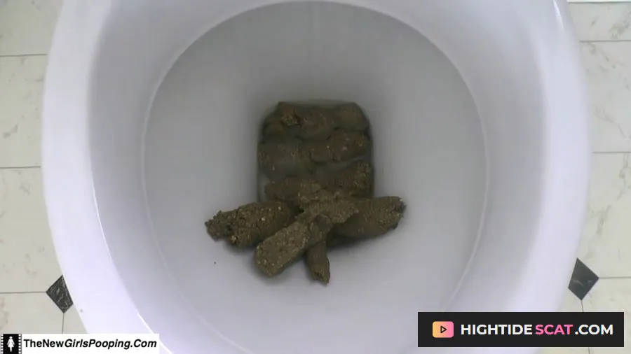 ShitGirl - Toilet Destroyed In 5 Mins [FullHD 1080p] Fetish Scat (471 MB)