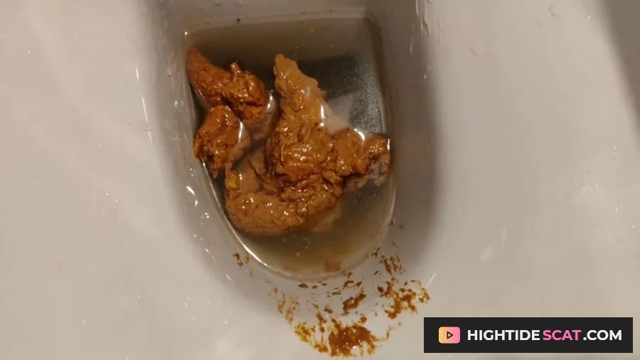 AinaraX - Big Load in the WC [FullHD 1080p] Piss, Defecation (1.12 GB)