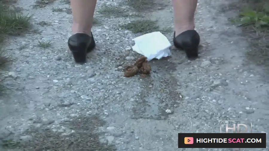 OutdoorScat - The woman sat down and took a shit on the street [HD 720p] Solo, Pooping (149 MB)