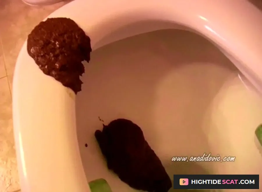 Ana Didovic - Titanic Poopers [SD] Fetish Scat (26.0 MB)