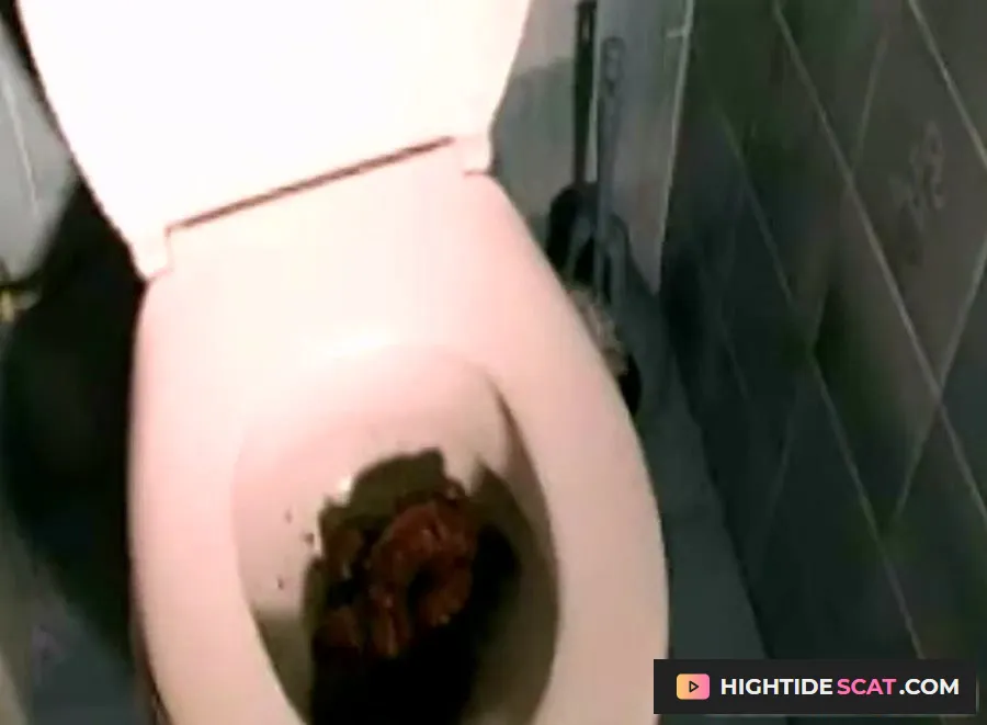 Ana Didovic - Flushing Probs [SD] Fetish Scat (26.1 MB)