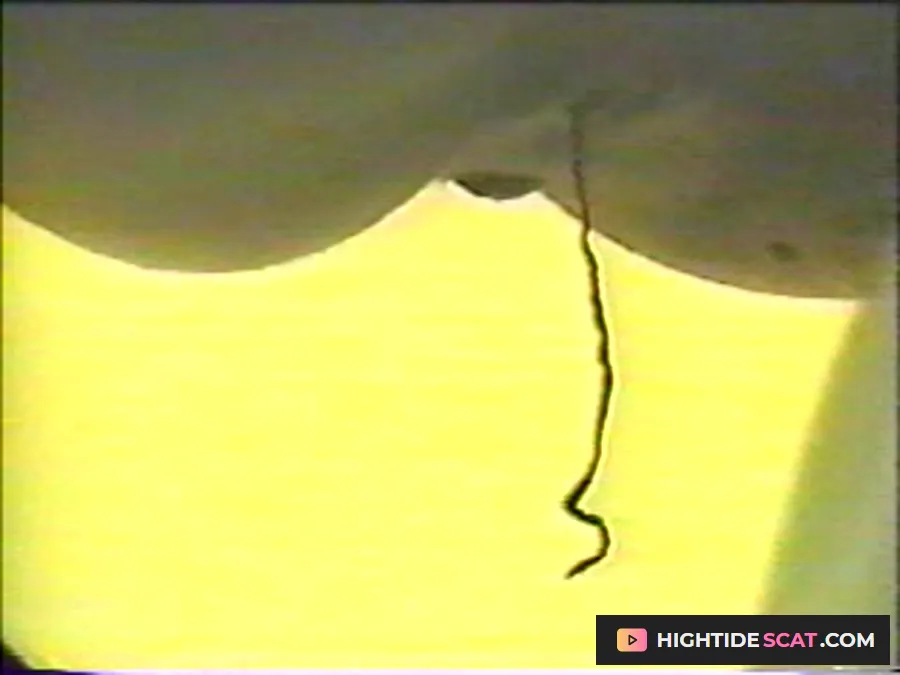 Jap Hidden - Cam Toilet 08 (japanese schoolgirls peeing and pooping (uncensored, c-quality) [SD] Fetish Scat (513 MB)
