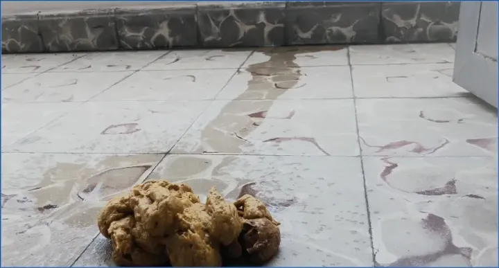 Download Badkitty España: Poop on The Balcony Exposed to Stares! (Scat-Shop) Hightide-Scat.com