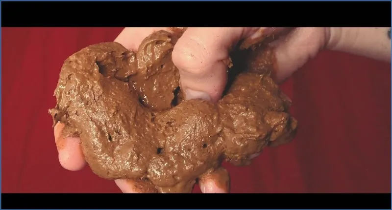 Download Wtf Mammoth Pile Ass With Microstars, Shitting, Smearing, Peeing Hightide-Scat.com