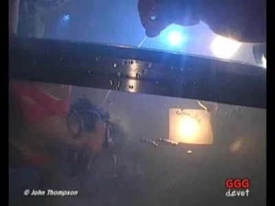 GGG Devot Pisse und Sperma 13 [SD] Piss, Oral (995.8 MB)