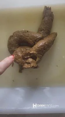 Domina Marbella - Toilet Pov - Hoy He Hecho Este Delicioso Pastel De Mierda [UltraHD 2K] Solo, Spain (66.2 MB)