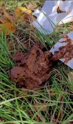 I eat someone elses shit in the woods [SD] Smearing, Scat (115.43 MB)