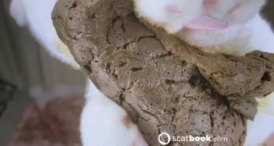 Tea Party and the Sweets [FullHD 1080p] Anal, 1080p (221.24 MB)