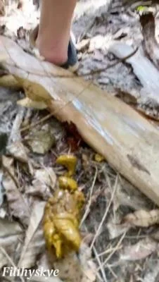 Filthy Skye - Shitting Girl 64 [SD] Gape, Compilation (26.1 MB)