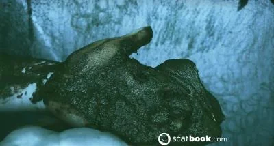 I CAN touch YOU with IT! [HD 720p] Anal, 2024 (197.27 MB)