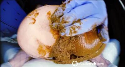 Two in One Panty's Double Trouble [FullHD 1080p] 2024, Anal (335.52 MB)