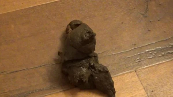 SexyScatForYou aka Katastrophic - It's Been 48 Hours Since I Last Pooped! This Was HUGE! Schoolgirl Outfit [FullHD 1080p] Amateur, Solo (350 MB)