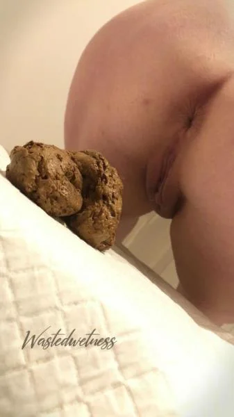 Wastedwetness - Sitting And Shitting [FullHD 1080p] Dirty Anal, Toilet (57.3 MB)