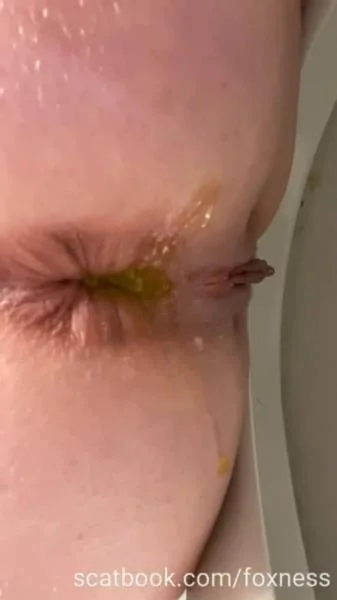 Foxness - Pooping 2 [SD] Defecation, Poop (10.5 MB)