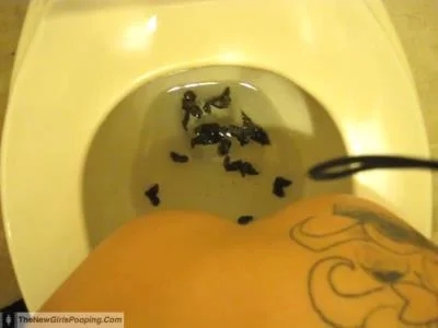 Kylie - Scatting Girl - 2 [SD] Amateur, Solo (55.4 MB)