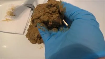 Mistress Roberta - Worship And Feeding [SD] Diarrhea, Romanian (409 MB)