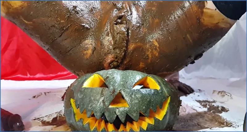 Anna Coprofield in Scat-Shop: Anna Coprofild - Trick Or Treat (my bloody pussy full