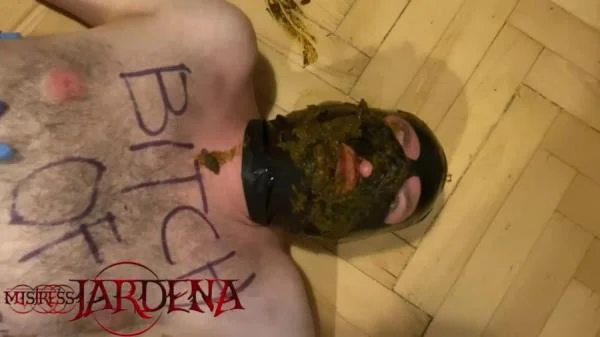 Mistress Jardena - Masacrated bitch on first toilet session [HD 720p] Kaviar, Humiliation (72.7 MB)