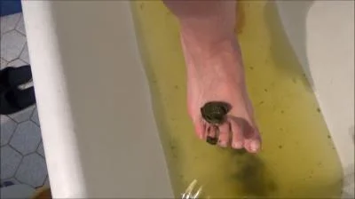 Mistress Roberta - Poop And Enema [SD] Fetish, Romanian (382 MB)