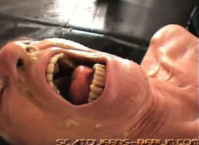 Lady Missy, Lucy Delunatic, Lady Grace, Miss Flowers, Lady Katherina, Lisa Anderson - Ach Du Liebe Kotze Teil 2 [SD] Femdom, Humiliation (133 MB)