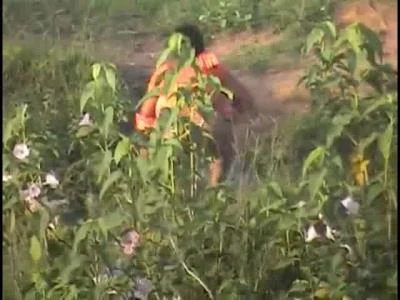 Indian Pissing [SD] (85.4 MB)