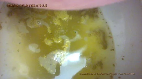 Sexy Flatulence - Diarrhea In The Toilet [FullHD 1080p] Milf, Solo (365 MB)