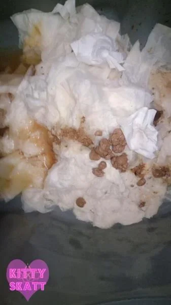 Kitty Skatt - Festival Constipation [UltraHD 2K] Solo, Dirty Anal (517 MB)