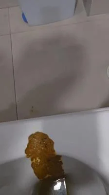 Miss Lith - Scatting Girl 22 [SD] Spain, Toilet Slavery (69.4 MB)