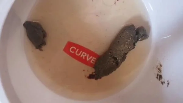 Mistress Jardena - Bitchs meal [HD 720p] Kaviar, Humiliation (26.5 MB)