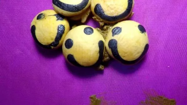 Diabolical Sigal - Poop Cake Dessert [FullHD 1080p] Solo, Eat Shit (158 MB)