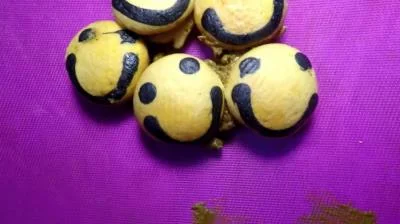 Diabolical Sigal - Poop Cake Dessert [FullHD 1080p] Solo, Eat Shit (158 MB)