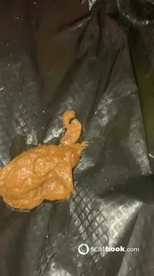 Hairy Pooping Butthole [SD] Poop, Amateur (54.7 MB)