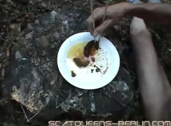 Sushi Scat [SD] Femdom, Humiliation (347 MB)