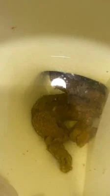 Shitting On The Bathroom Floor At Work [SD] Poop, Big Ass (347 MB)
