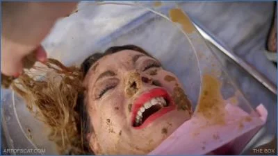 Artof Scat – THE BOX [FullHD 1080p] (2.01 GB)