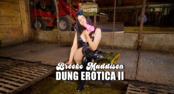 Scat Dung Erotica 2 [HD 720p] Cow Shit Fetish (971.5 MB)
