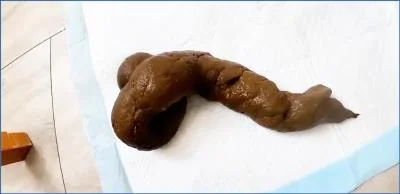 Pulsifer Paprocki – Scared Shitless 5 Day Post-op Shit [FullHD 1080p] (556.01 MB)