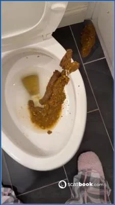 Bossys Bathroom Blunder A Splattered Catastrophe [SiteRip] (9.86 MB)