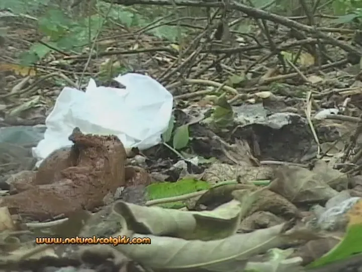Natural Scat Girls Grimy Solo Poop Clip in SD Video - solo, scat